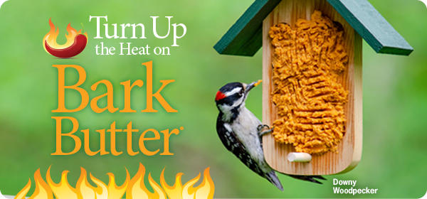Turn Up the Heat on Bark Butter®