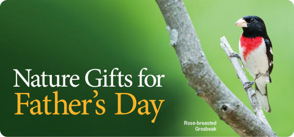 Nature Gifts for Fathers Day
