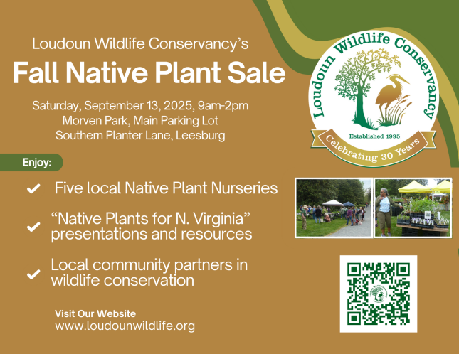 LWC Native Plant Sale flyer